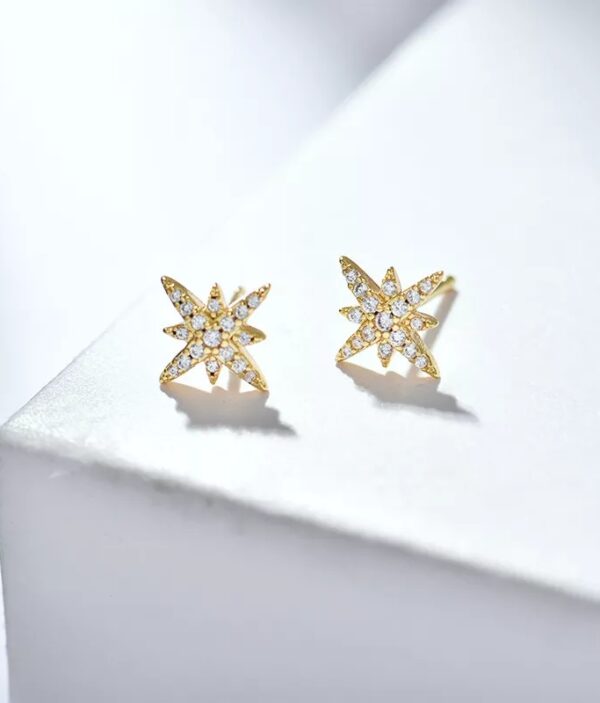 Boucles d’Oreilles B157