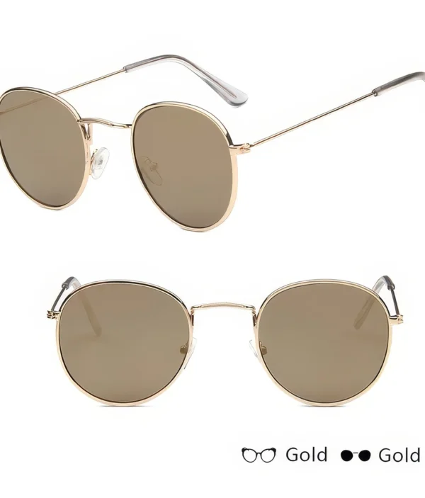 Lunettes de Soleil - Style Classique et Élégant