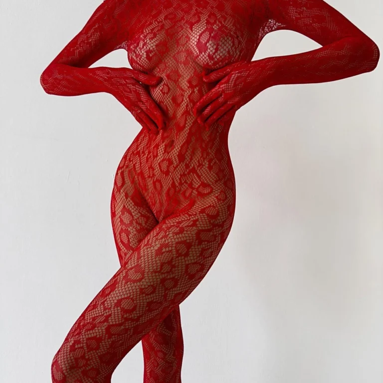 Catsuit Résille Dos Nu à Manches Longues ✨
